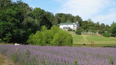 Win this sweet organic farm with a 200-word essay