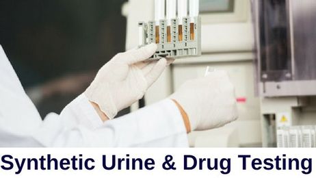 Synthetic Urine and Drug Testing