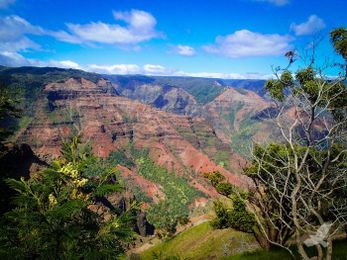 25 Things Every True Hawaii Local Does At Least Once Before They Die