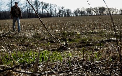 The Best Weather Conditions for Shed Hunting