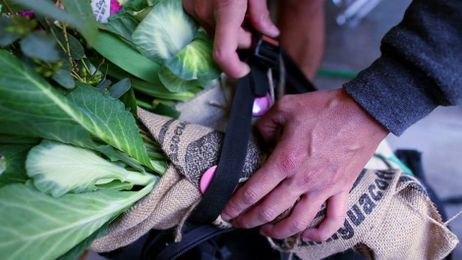 The Steps Farmgirl Flowers Took To Succeed In An Established Market