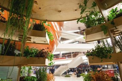 The Indoor Garden That Can Feed an Entire Neighborhood