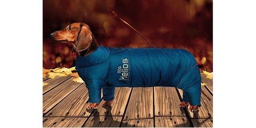 Dog Jackets: Dress Yer Pup