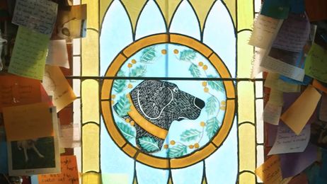 Step Inside This Beautiful Chapel Built for Dogs and Their Owners