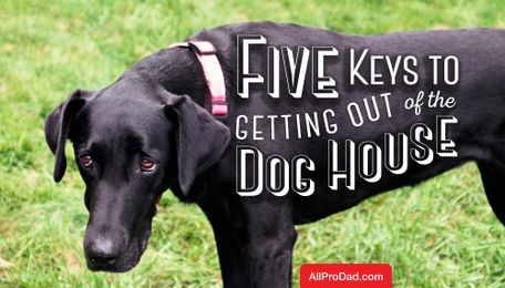 5 Keys to Getting out of the Dog House