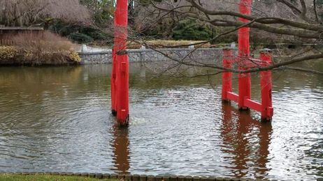 At Brooklyn smart garden, when it rains, it drains
