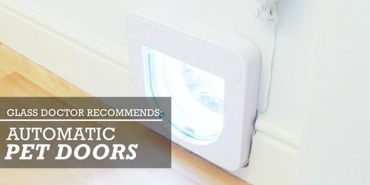 Glass Doctor Recommends: Automatic Pet Doors