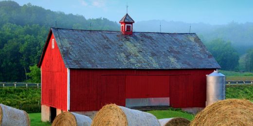 Here's why barns are painted red