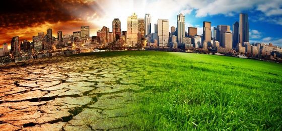 Is Technology Rather Than Conservation the Answer to Global Warming?