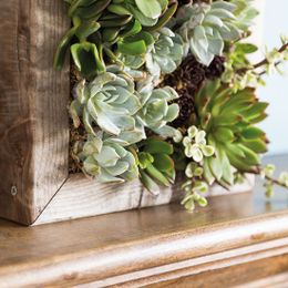 Create a Living Picture Frame