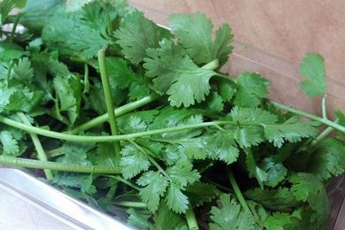 Remove Up To 80% Of Heavy Metals From Your Body Using Cilantro!