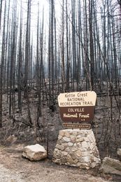 Is it time to rethink the Forest Service?