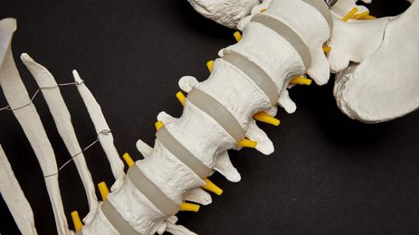 Is a Doctor With an M.D. Better Than One With a D.O.?