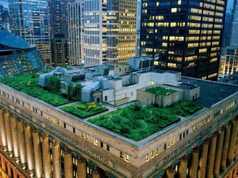 Cities Smarten Up and Go Green