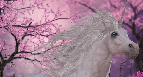 5 Publishing Myths Debunked