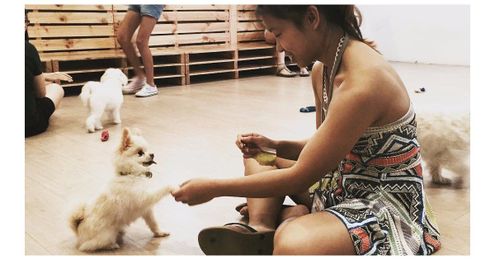 15 Ridiculously Awesome Animal Cafes That You Can Visit