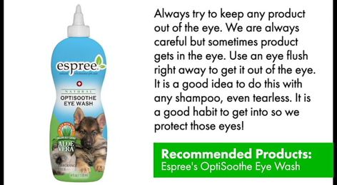 Pet Grooming Tip: What To Do When Product Gets In The Eye