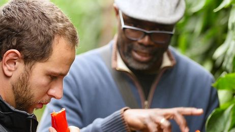 Sweet Palermo: life is sweet!
