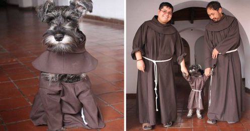 Little Dog Is Welcomed As Monastery's Cutest New Friar