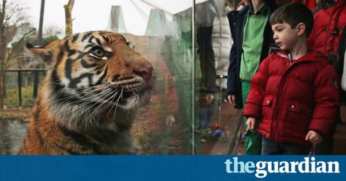 Should we close our zoos? You asked Google