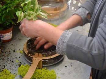 Terrariums back on the job — and perfect for the office