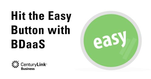 Hit the Big Data and Analytics Easy Button with BDaaS