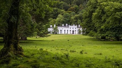 Own Your Own Irish Castle