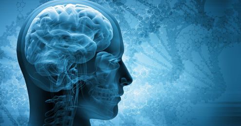 The Effect of Chiropractic on the Brain