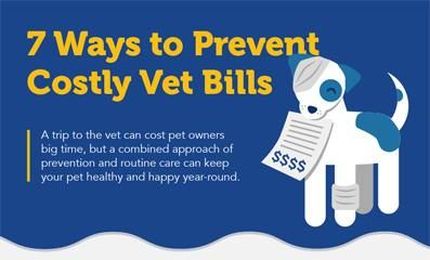 7 Ways to Prevent Costly Vet Bills