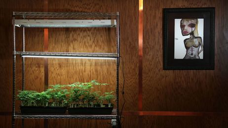 A painting with your meds? An art gallery pops up inside a cannabis dispensary