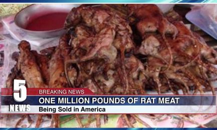 Million Pounds Of Rat Meat Being Sold As Boneless Chicken Wings In U.S.