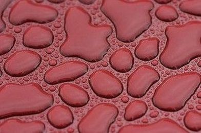 Protect Your Car’s Paint: 5 Benefits of Waxing Your Car