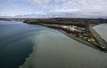 Sludge bugs: Sewage-eating microbes in peril at crippled West Point plant