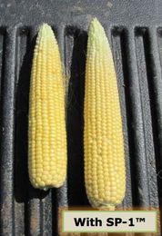 SP-1™ … Our SPec1al Product