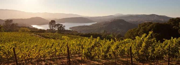 Does Napa Have too Much Cab?