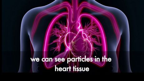 Why is diesel exhaust so toxic?