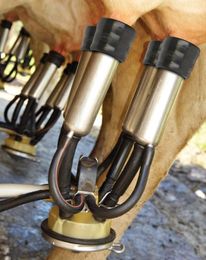 Win a change-out of Evolution® Square-Bore Liners