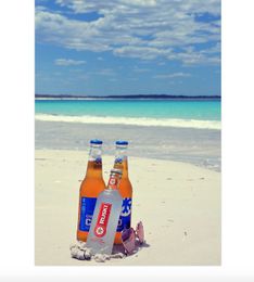 Company Searching for Interns to Travel, Drink Beer, AND get Paid for it!