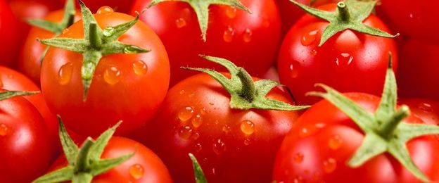 Create Durable, Waterproof Documents That Last