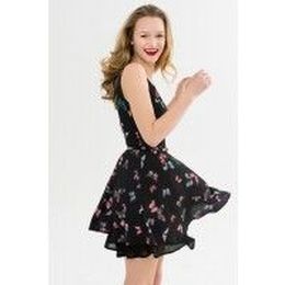 Printed Chiffon Skater Dress