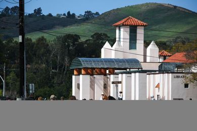 Branching Out: More than Just Books