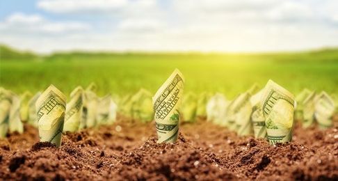 Give your finances a good spring cleaning