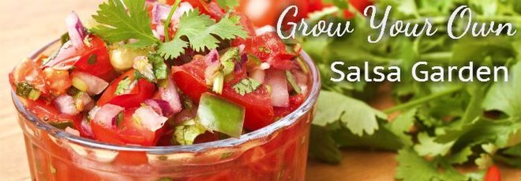 Grow Your Own Salsa Garden / Armstrong Garden Centers