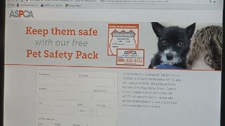 Guidelines to keeping your pets safe