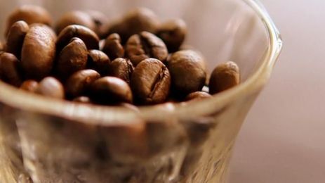 Is Coffee Bad For the Environment?
