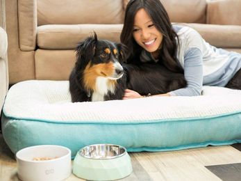 8 Pet Products that Will Make Spring Cleaning Simple