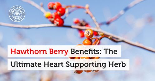 Hawthorn Berry Benefits: The Ultimate Heart Supporting Herb