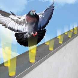 How to repel birds without a physical barrier