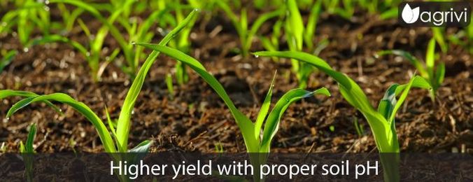Reduced Fertilizer Use with Optimum Soil pH