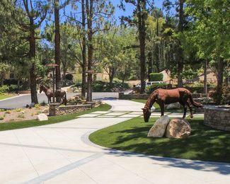 Story of a Landscape: Sustainable Driveway Renovation